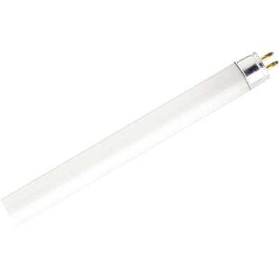 Satco 8W 11.9 In. Cool White T5 Miniature Bi-Pin Preheat Fluorescent Tube Light Bulb